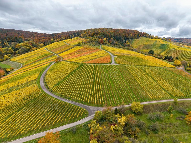 Colourful vineyards in autumn landscape with winding paths under clouds, near Stetten im Remstal, Baden-Württemberg, Germany