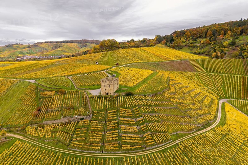 A tower surrounded by extensive yellow vineyards on rolling hills in cloudy weather, Y-Burg, Stetten im Remstal, Baden-Württemberg, Germany