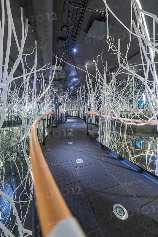 Futuristic space with glass walls and white abstract branches that create a modern, technical atmosphere, Ruhestein National Park Center, Black Forest, Baiersbronn, Germany