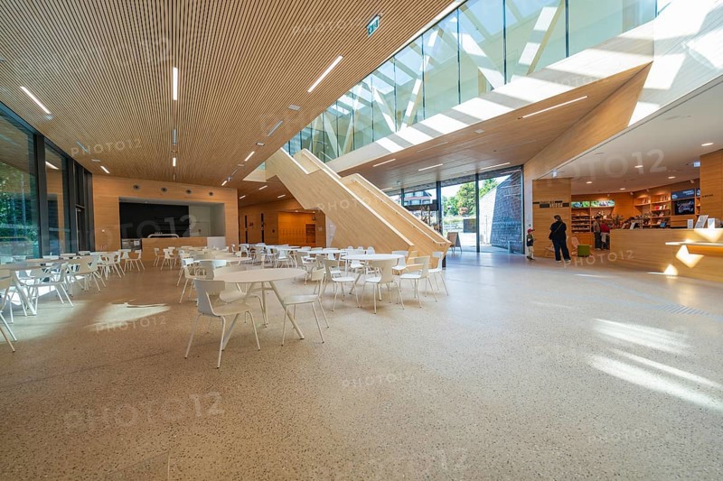 Bright interior with wood and glass elements, modern design with cafeteria, Ruhestein National Park Center, Black Forest, Baiersbronn, Germany