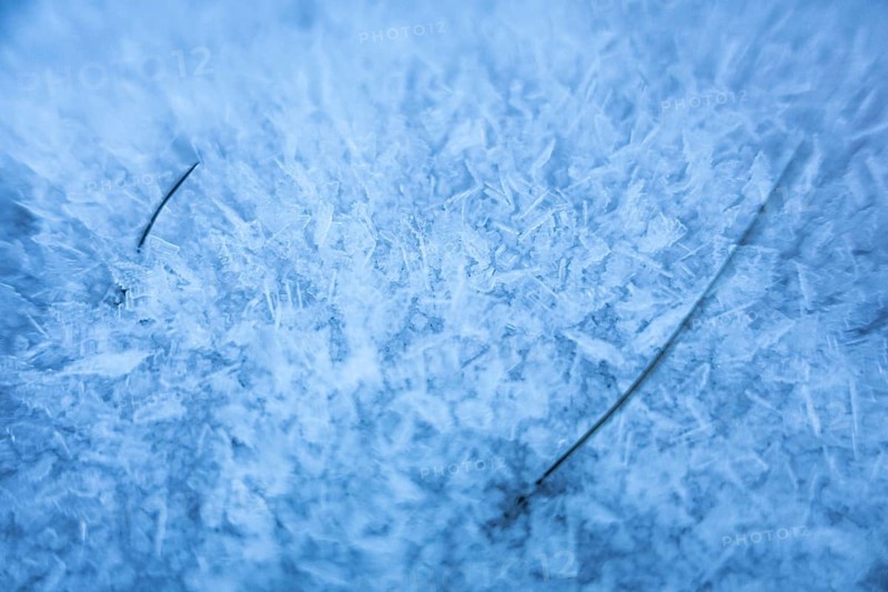 Two blades of grass stick out of the frost that has formed on the ground due to cold weather, Wetterau, Gedern, Hesse, Germany