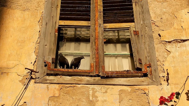 Old town of Nauplion, Two doves on an old, weathered window sill in sunlight, Nauplion, Nafplion, Peloponnese, Greece