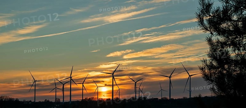 Sunset, wind turbines, sunset, tree, silhouettes, Südergellersen, Samtgemeinde Gellersen, Lower Saxony, Germany