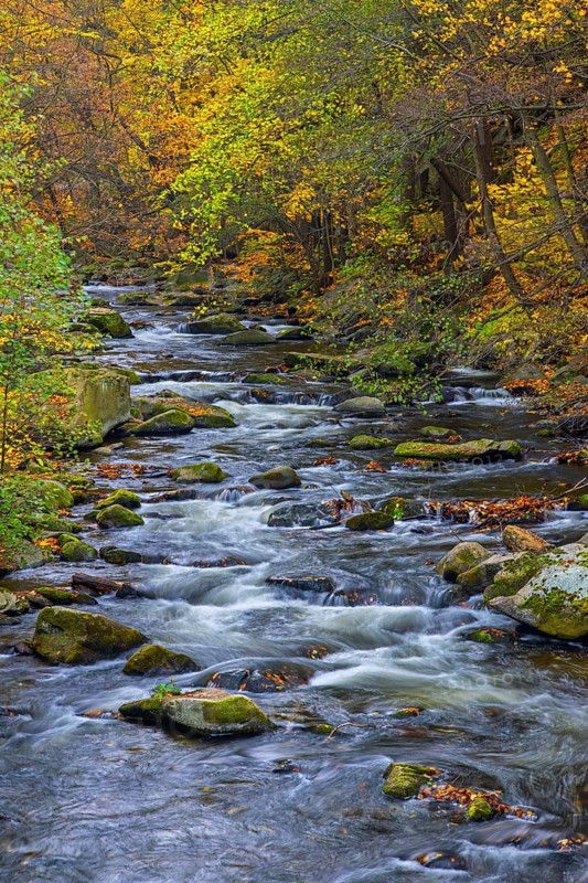 River Bode running through forest showing autumn colours, fall colors at Nature reserve Bode Valley in the Harz Mountains, Saxony-Anhalt, Germany