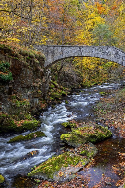 Jungfern Bridge, Jungfernbrücke, 20th century stone footbridge, pedestrian bridge over the Bode River in the Harz Mountains, Saxony-Anhalt, Germany
