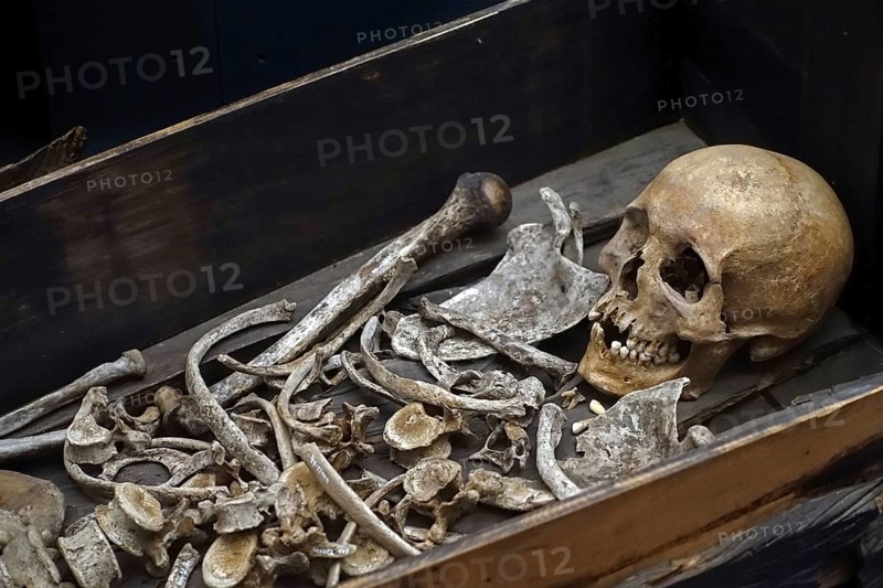 Monk's skeleton at museum of Abbey of the Dunes, Abdij Ten Duinen, Cistercian monastery at Koksijde, West Flanders, Belgium