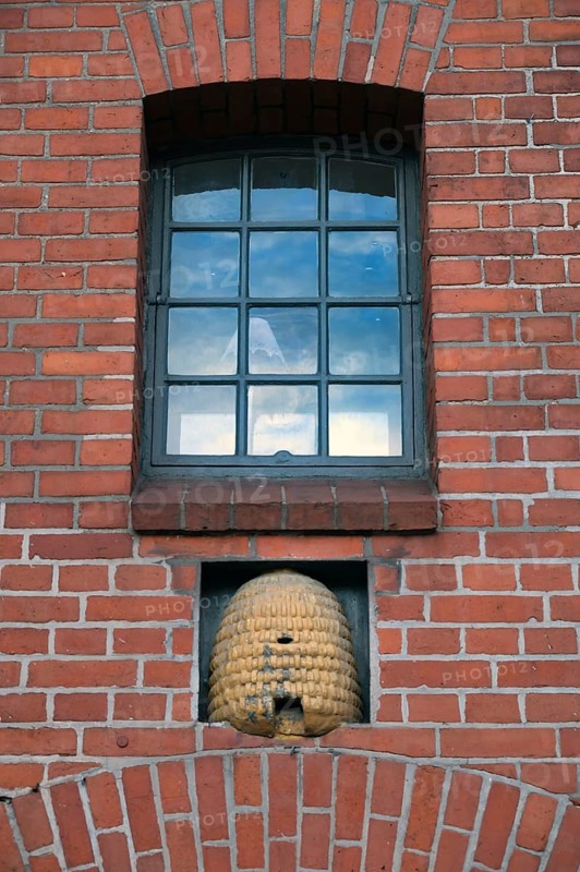 Beehive under an industrial window, Hanseatic City of Lübeck, Schleswig-Holstein, Germany