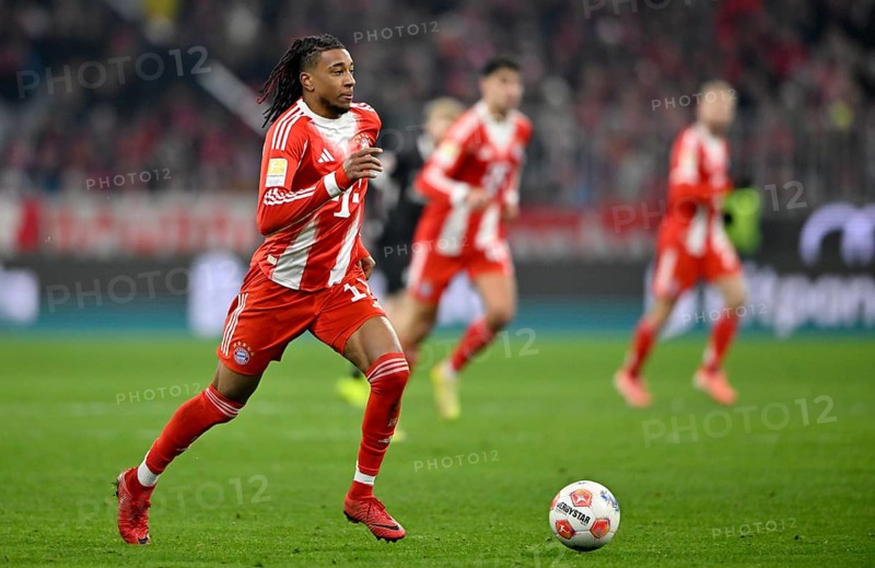 Michael Olise FC Bayern Munich FCB (17) Action at the Allianz Arena Ball, Munich, Bayern, Germany