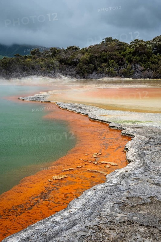The champagne pool in the Waiotapu geothermal area (Wai-O-Tapu) . orange and yellow. Waiotapu, Waikato, North Island, New Zealand