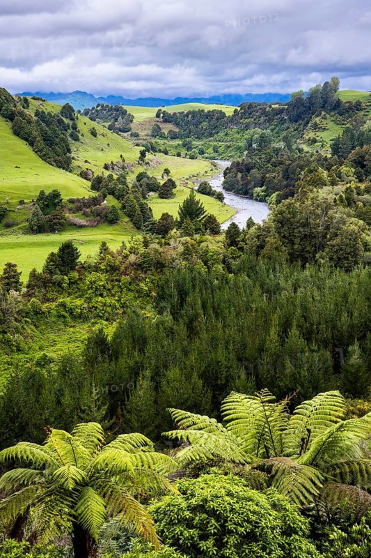 New Zealand landscape. View of the Whanganui River valley from Piriaka Lookout. Piriaka, Ruapehu District, North Island, New Zealand