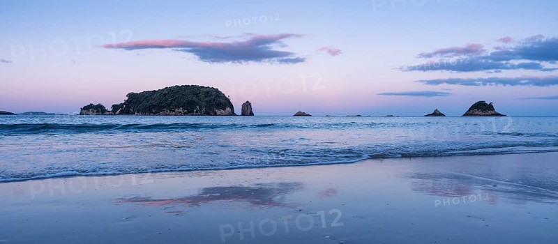 Landscape with sea and sandy beach in New Zealand. Hahei Beach in the evening at sunset with Mahurangi Island (Goat Island), Hahei, Coromandel Peninsula, Waikato, New Zealand