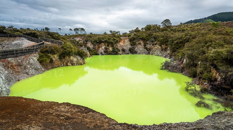 Roto Karikitea, a crater in the Waiotapu (Wai-O-Tapu) geothermal area, filled with green water from the Champagne Pool. Waiotapu, Waikato, North Island, New Zealand