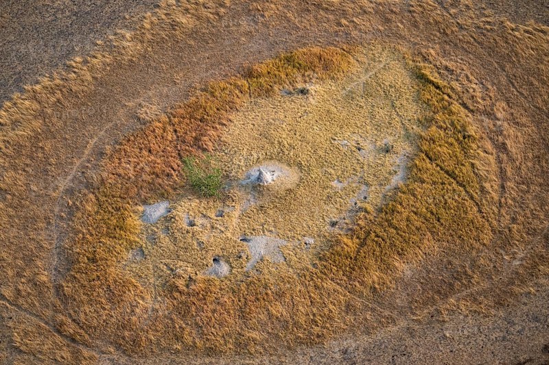 Termite hills in marshland, landscape, aerial view of the Okavango Delta, near Maun, Okavango Delta, Botswana