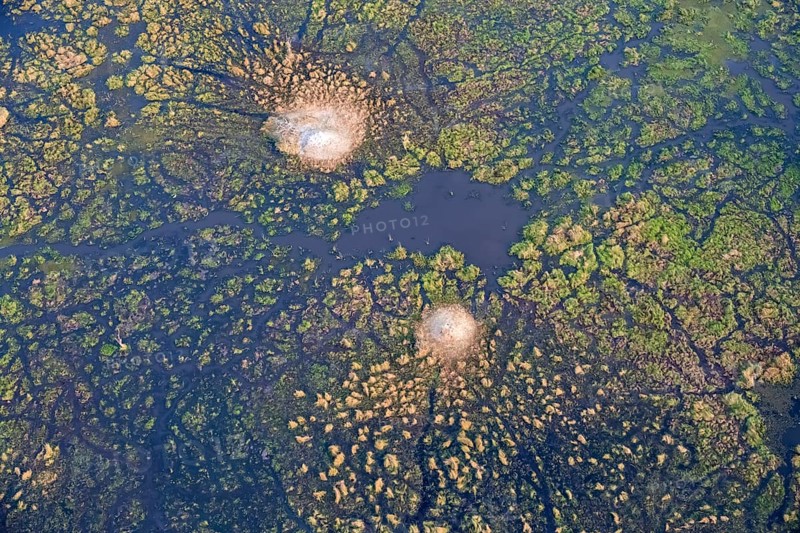 Wetland, landscape, aerial view of the Okavango Delta, near Maun, Okavango Delta, Botswana