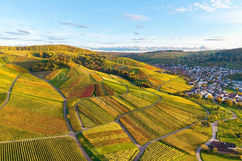 Panorama of colorful vineyards and a neighboring settlement in autumn, autumn, near Strümpfelbach im Remstal, Baden-Württemberg, Germany