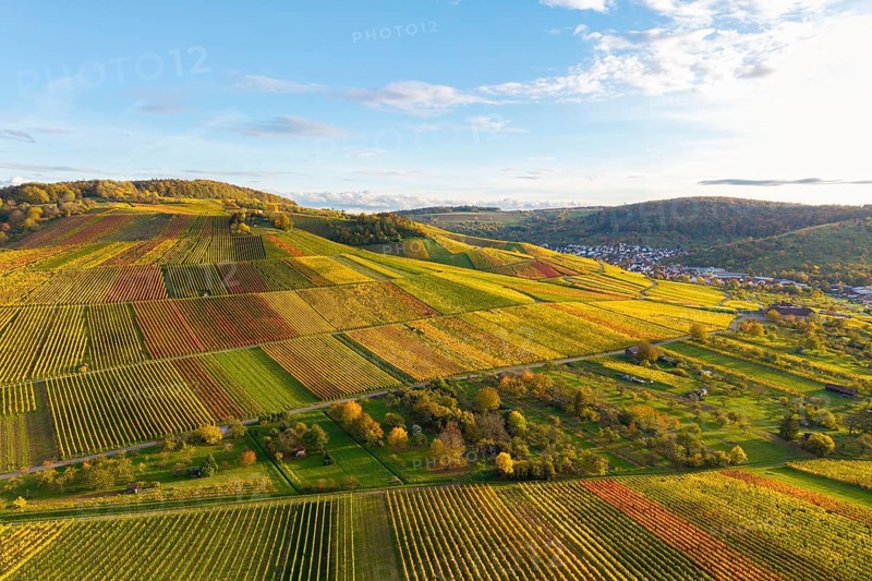 Sunlit vineyards and fields on rolling hills, autumn, near Strümpfelbach im Remstal, Baden-Württemberg, Germany
