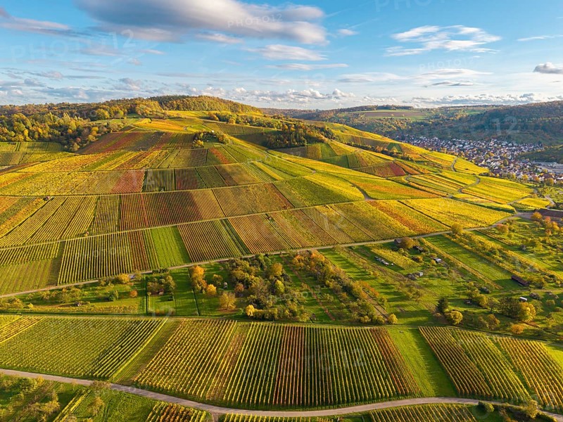 Colourful vineyards and fields stretch across the hills, autumn, near Strümpfelbach im Remstal, Baden-Württemberg, Germany