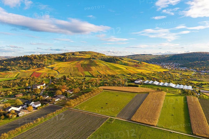 Multicolor landscape with vineyards and fields under blue sky, autumn, near Strümpfelbach im Remstal, Baden-Württemberg, Germany