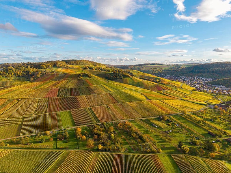 Hilly fields with colorful vineyards under a wide sky, autumn, near Strümpfelbach im Remstal, Baden-Württemberg, Germany