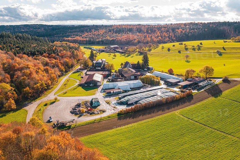 Autumn landscape with farm, fields and forests in vivid colors, new Lindenrain industrial park, Calw, Black Forest, Germany