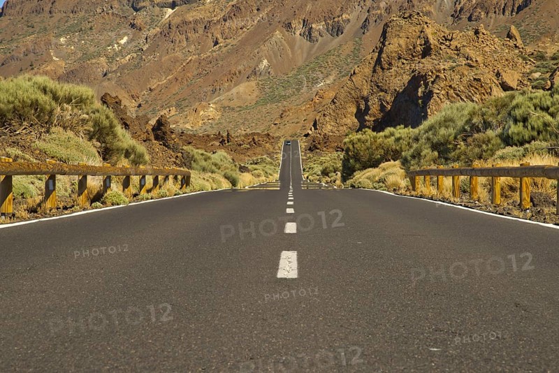 Europe, Spain, Canary Islands, Tenerife, Teide National Park