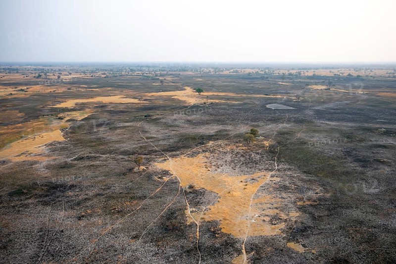 Dry season, structure and pattern of trails, burnt landscape, aerial view of the Okavango Delta, near Maun, Okavango Delta, Botswana