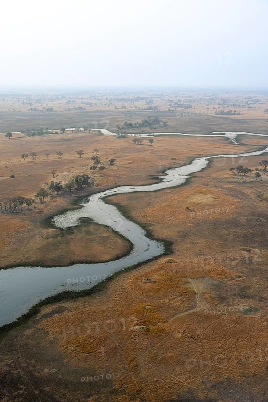 Wetland, landscape, aerial view of the Okavango Delta, near Maun, Okavango Delta, Botswana