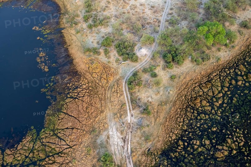 Road through marshland, landscape, aerial view of the Okavango Delta, near Maun, Okavango Delta, Botswana