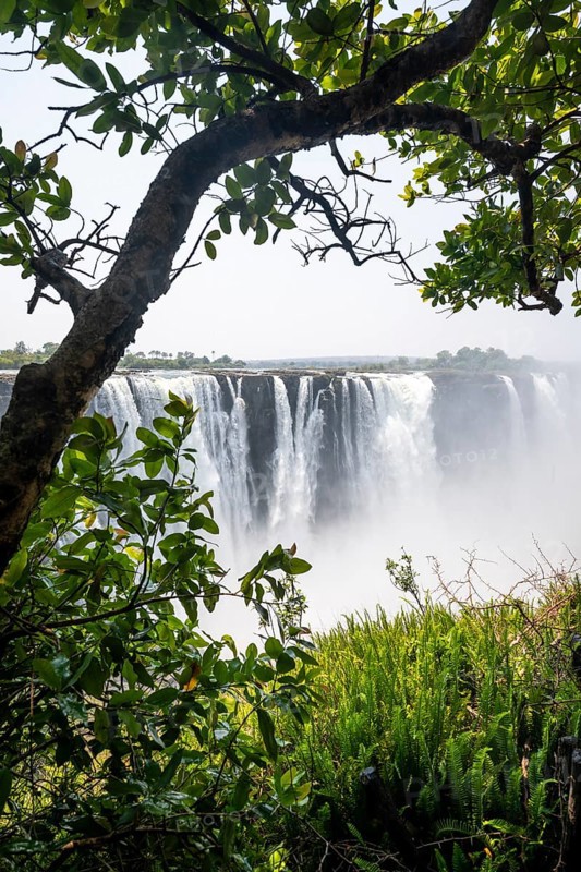Water plunges into the depths, Victoria Falls with jungle and green plants, Zambezi, Zimbabwe