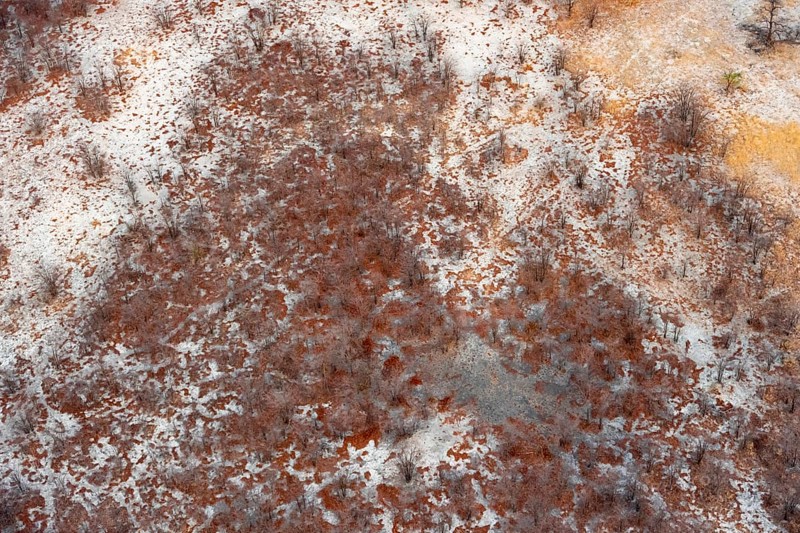 Arid savanna landscape, near Maun, aerial view, Okavango Delta, Botswana
