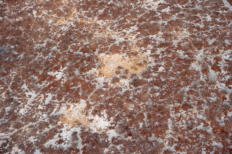 Structure, dry savanna landscape, near Maun, aerial view, Okavango Delta, Botswana