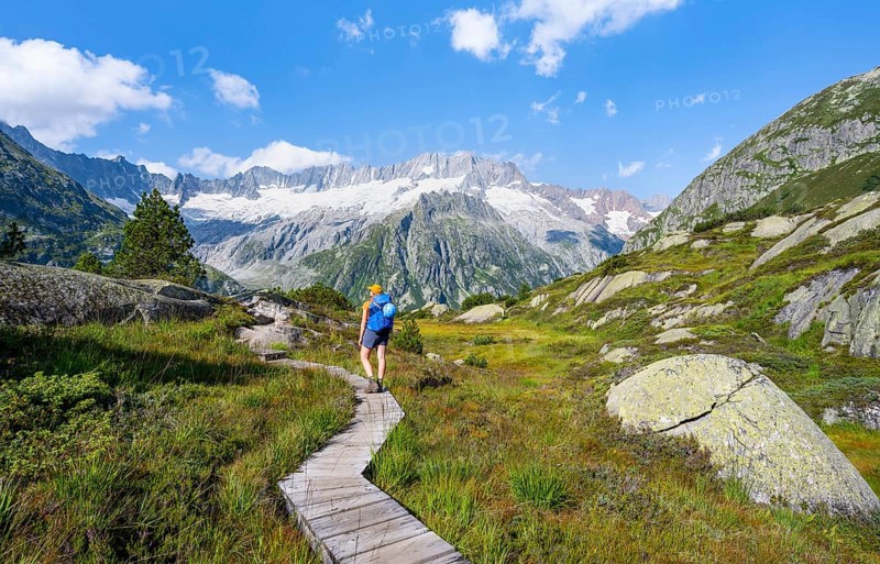 Female mountaineer on wooden plank path through mountain moor, in front of picturesque mountain scenery, Dammastock and Damma glaciers, Göscheneralp, Canton of Uri, Switzerland