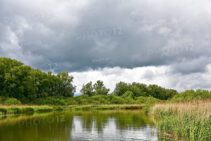 A river under heavy clouds, surrounded by lush trees and tall vegetation, Peenetal nature park Park, Mecklenburg-Western Pomerania, Germany