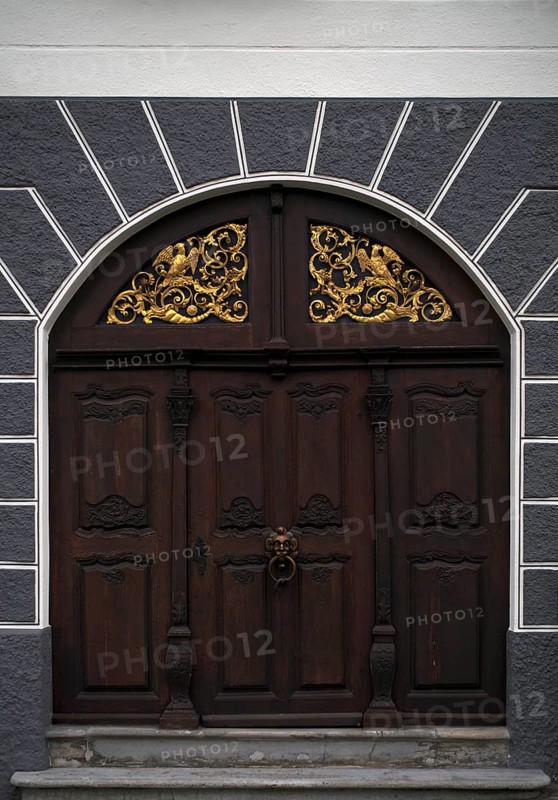 Portal, ornaments, door knob, knocker, historic Leube house, Leube house, old town, Ulm, Baden-Württemberg, Germany