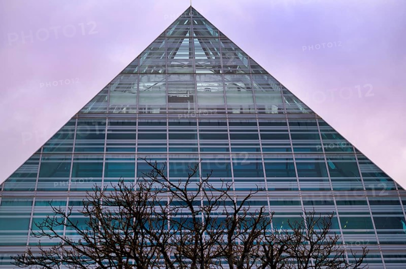 Tree, bare, behind a glass pyramid of the Central Library, City Library, Old Town, Ulm, wintery, Baden-Württemberg, Germany