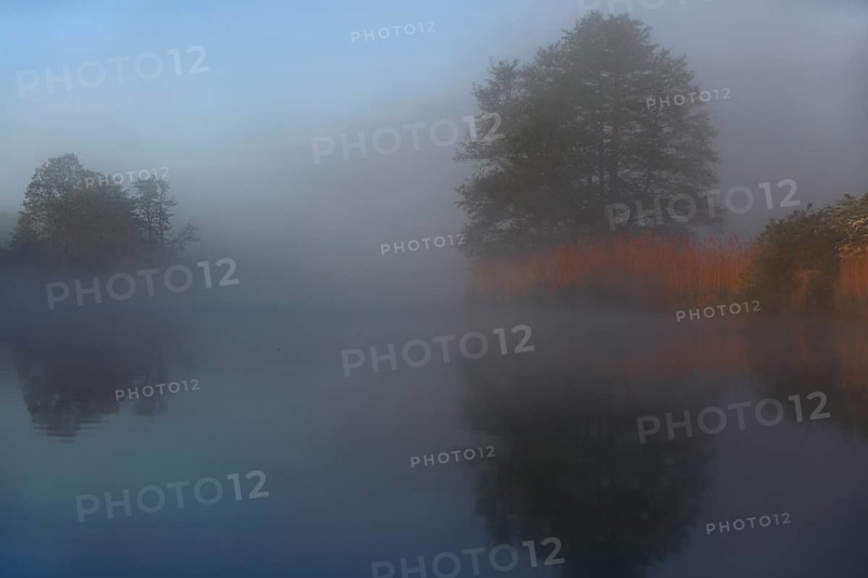 Dense fog covers calm lake, trees reflect in water, Peenetal nature park Park, Mecklenburg-Western Pomerania, Germany