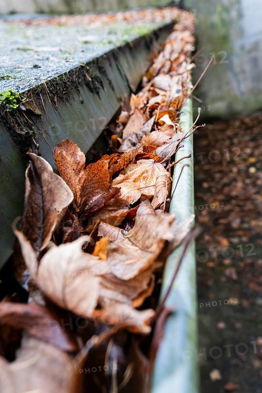 A clogged gutter is filled to the brim with brown, dry autumn leaves, Wuppertal, Germany