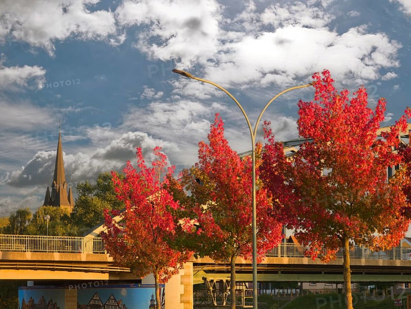 Autumn colors on the Weseranger Rinteln Germany