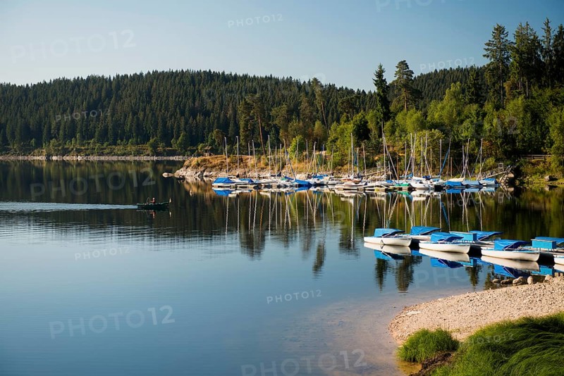 Morning atmosphere with colorful paddle boats and rowing boats, Schluchsee, Black Forest, Southern Black Forest, Baden-Württemberg, Germany