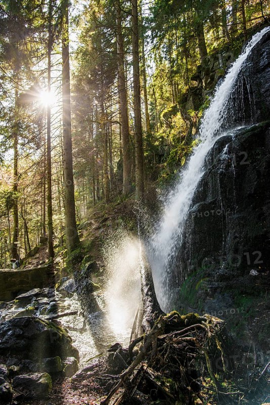 Zweribach Waterfalls, protected forest, St Märgen, Black Forest, Southern Black Forest, Baden-Württemberg, Germany