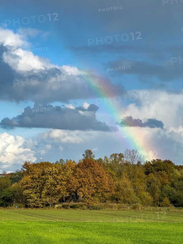 Rainbow in front of gray clouds Cumulus at the top bottom of gray stratocumulus, green field below and forest edge of mixed forest, Germany