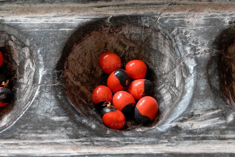 Traditional wooden game Pallankujhi, Pallamkuzhi, Pallangulli, Pallankulli or Alagulimane with red and black beans, Chettinad, Tamil Nadu, India