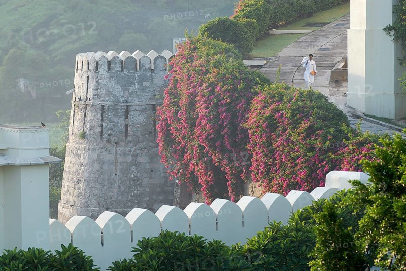 Hotel worker next to bougainvillea covered defensive defence tower in morning light, Devigarh Palace Hotel, Delwara village near Udaipur, Rajasthan, India