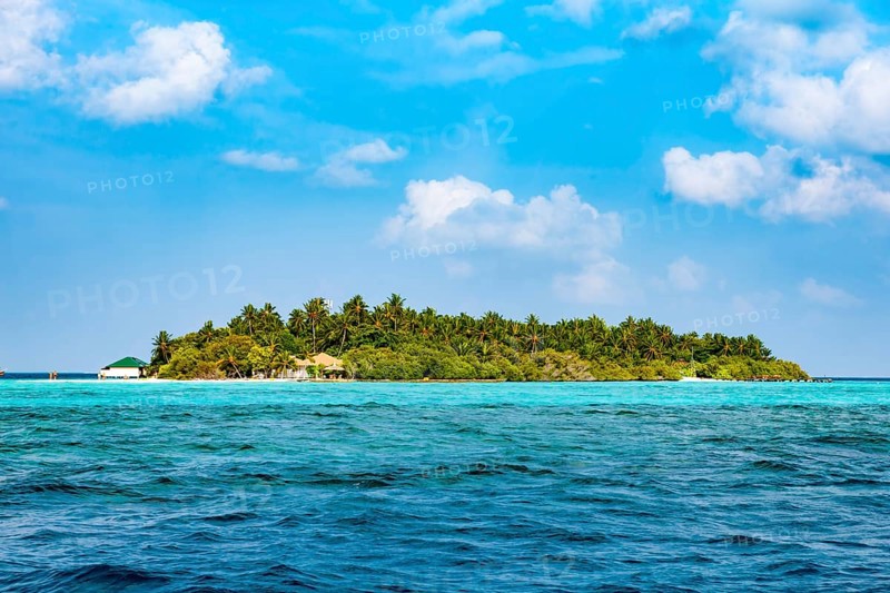 Symbolic picture dream island holiday island deserted island with palm trees coconut trees (Cocos nucifera), in front of it turquoise blue lagoon above fair weather clouds against blue sky, Indian Ocean, Maldives