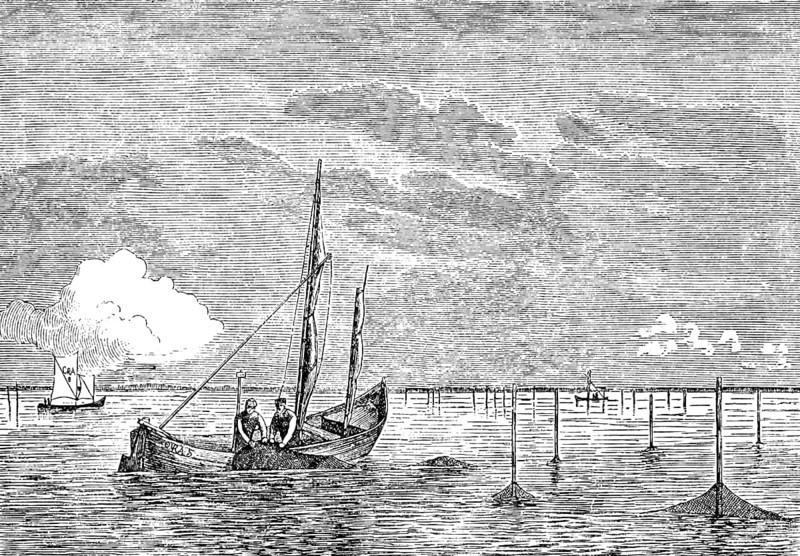 Fishermen collecting nets in East and West Prussia, fishing boats, fishing, profession, net fishing, near the coast, wooden posts, open wooden boats, sails, calm seas, possibly in the lagoon, German Empire, Germany, travel picture, historical illustration around 1900
