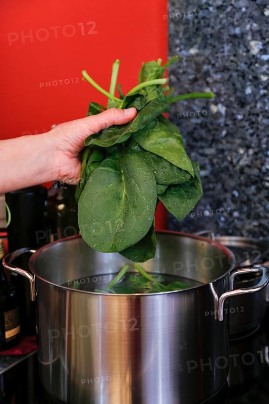 Southern German cuisine, preparing polenta spinach roulade, cooking spinach, vegetables, cooking pot, men's hands, healthy, food photography, studio, Germany