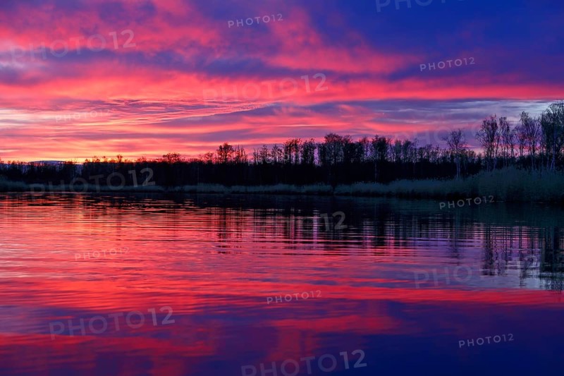 Colourful sunset with pink sky and trees reflecting in calm water, Peenetal nature park Park, Mecklenburg-Western Pomerania, Germany