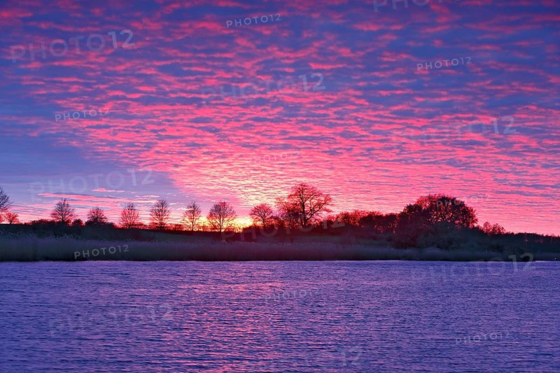 Intense sunset with pink clouds over a river, surrounded by trees, Peenetal nature park Park, Mecklenburg-Western Pomerania, Germany