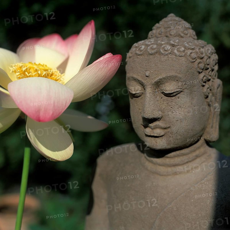Buddha statue with lotus flower, Bali, Indonesia