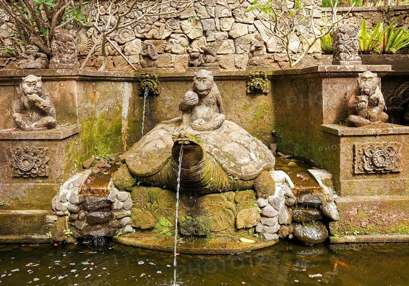 Turtle fountain, Ubud, Bali, Indonesia